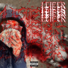 לא נרדם איטי