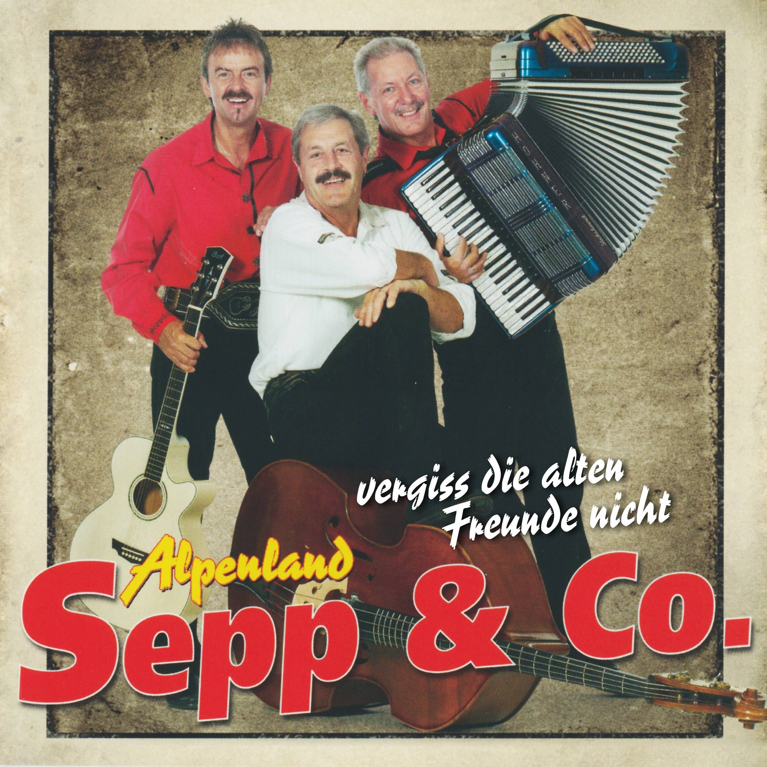 Vergiss die alten Freunde nicht