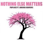Nothing Else Matters (feat. Amanda Hawkins) - Single