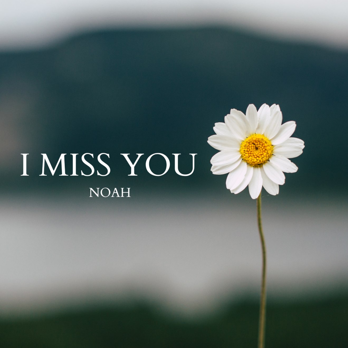 Noah Cyrus – MISS YOU – Single (2024) [iTunes Match M4A]