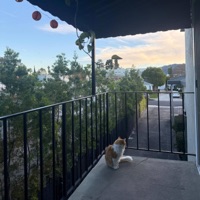 No Bull - Single - jah.