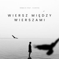 wiersz między wierszami (feat. Clerisa) - Single - Robajs