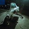 Questions (feat. Ari Abdul) - Presley Regier lyrics