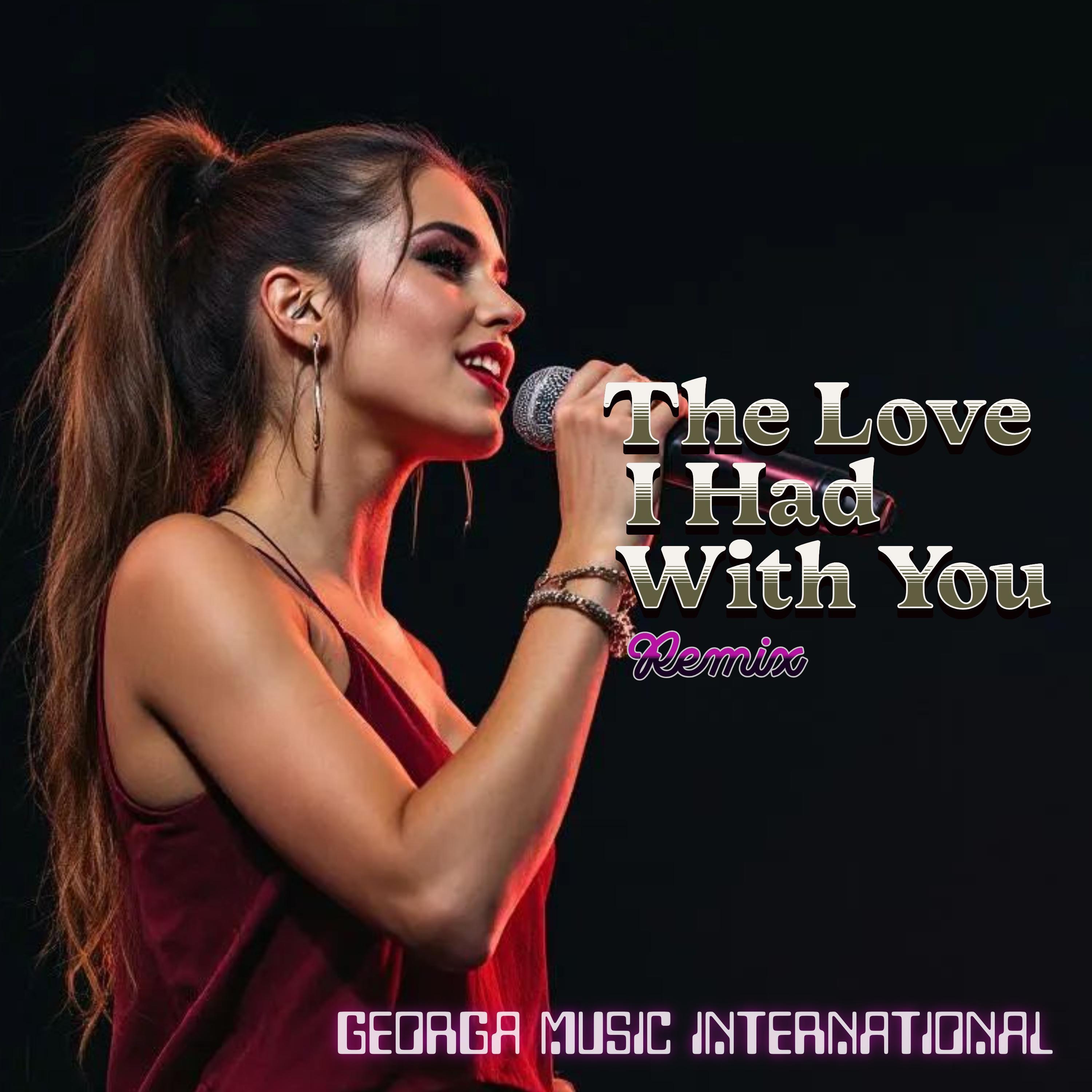 The Love I Had... (Remix) - Single