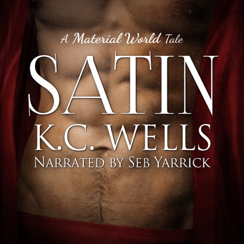 Satin (A Material World Book 2) cover