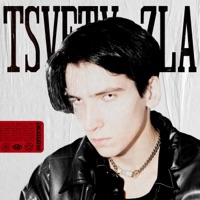 Tsvety Zla - Single - ENCASSATOR
