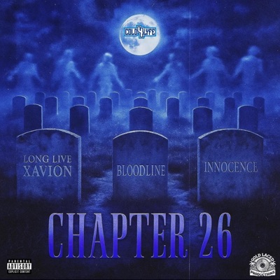 CHAPTER 26