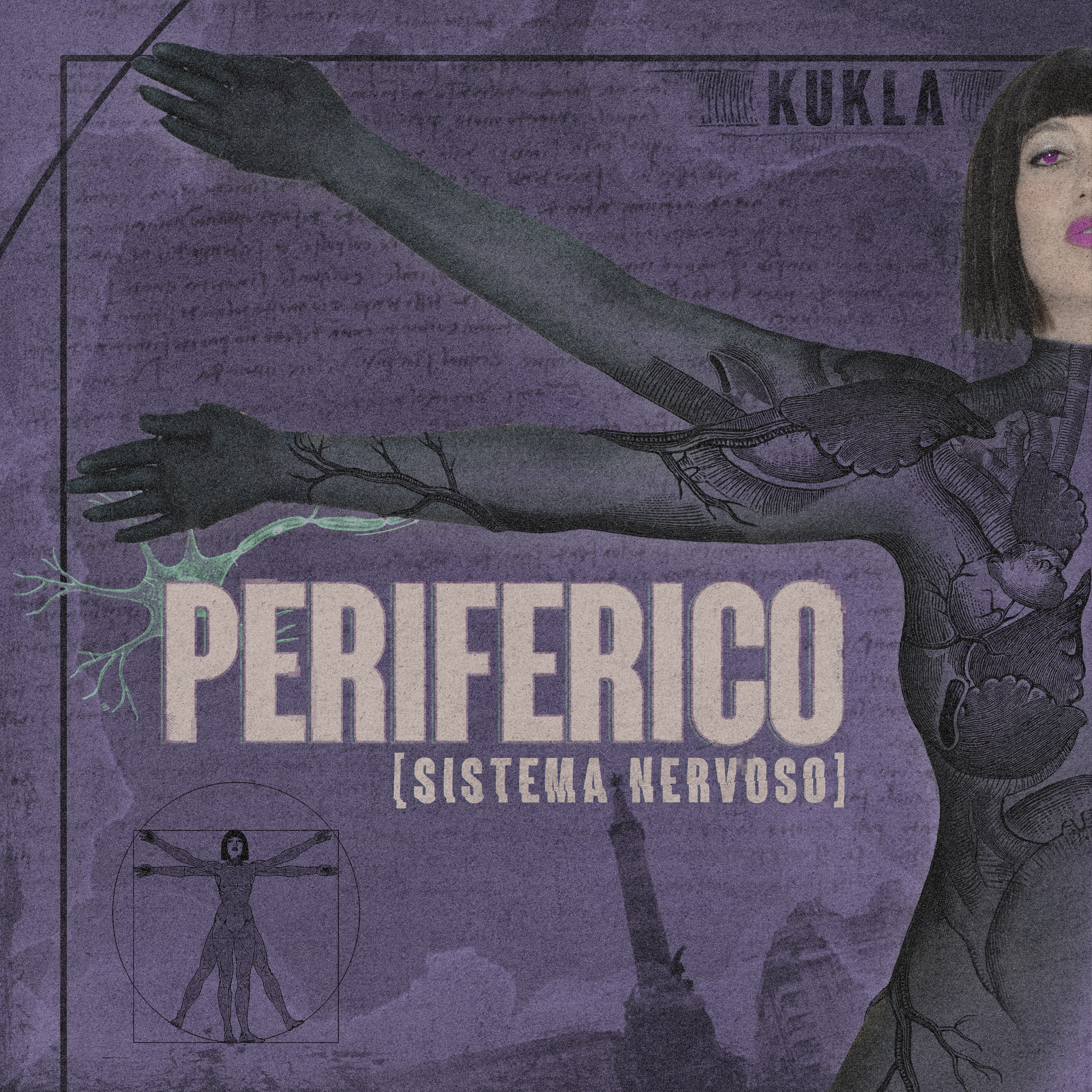 Periferico (Sistema Nervoso)