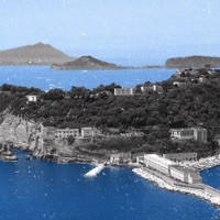 Nisida - Single - Vale Nicole & Laden Patiens