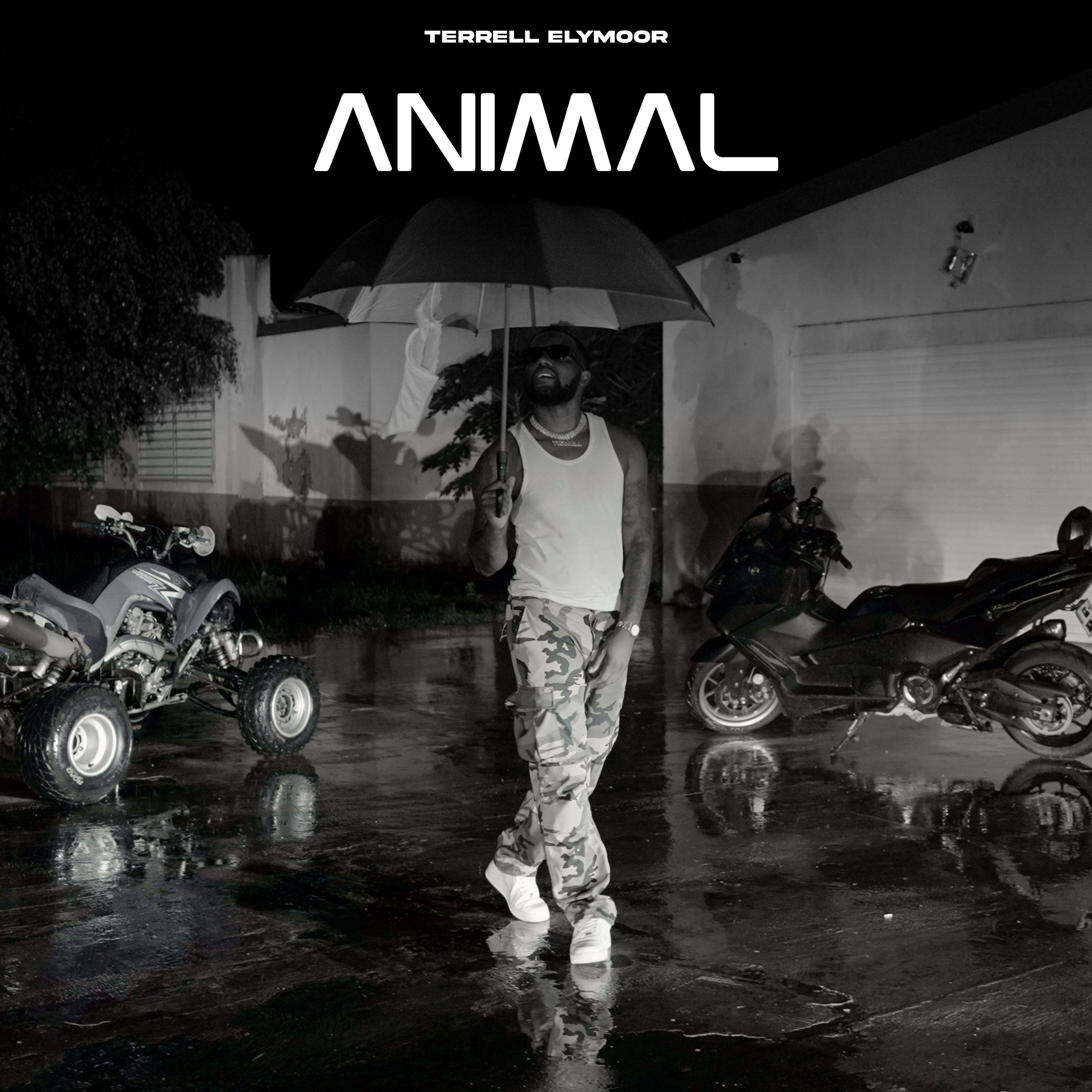 Animal - Single