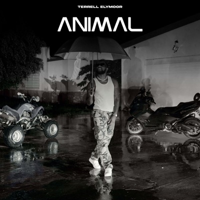 Animal - Single
