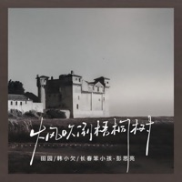 大风吹倒梧桐树 (扎心版) - Single - Han Xiao Qian, 长春笨小孩-彭思亮 & Yuan Tian
