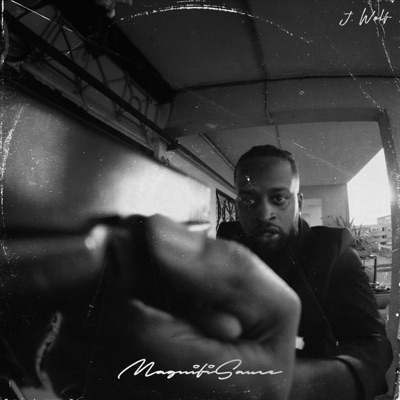 Magnifisauce - Single