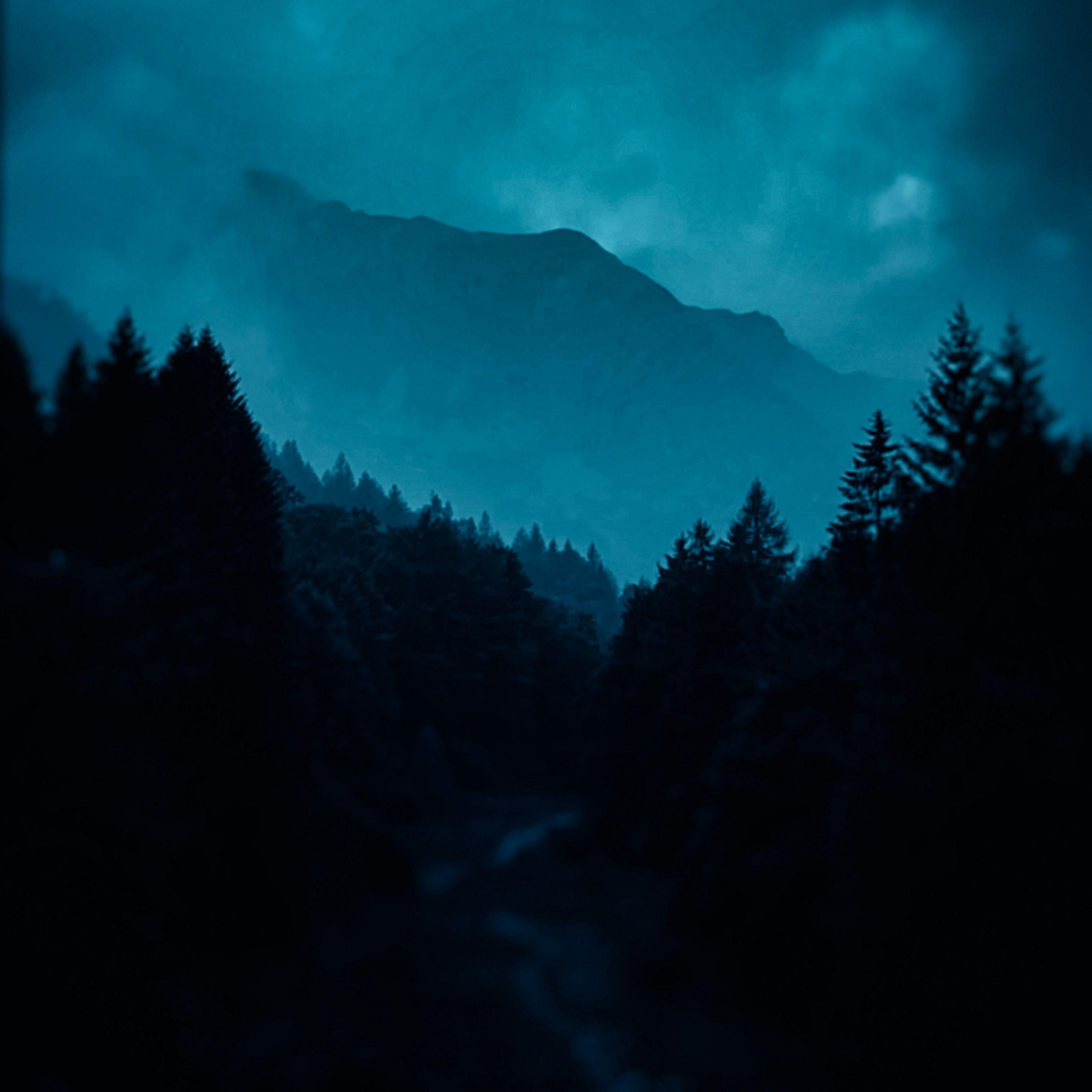 Orian Bor - Twilight