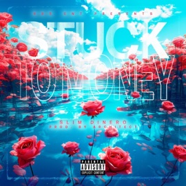 Stuck To Money Slim Dinero