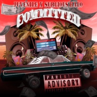 Committed - Single - Surgious Halo
