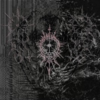 INSOMNIA - Single - ZETA MARU