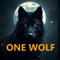 One Wolf - Raúl Hinojosa Music lyrics
