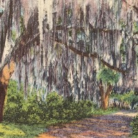 La Cita - Single - AbbotJackson