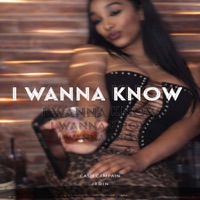 I Wanna Know (feat. Jrdin) - Single - Cash Campain