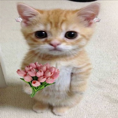 เพลงนี้มีแต่กัส (feat. Gust the kid) - Single