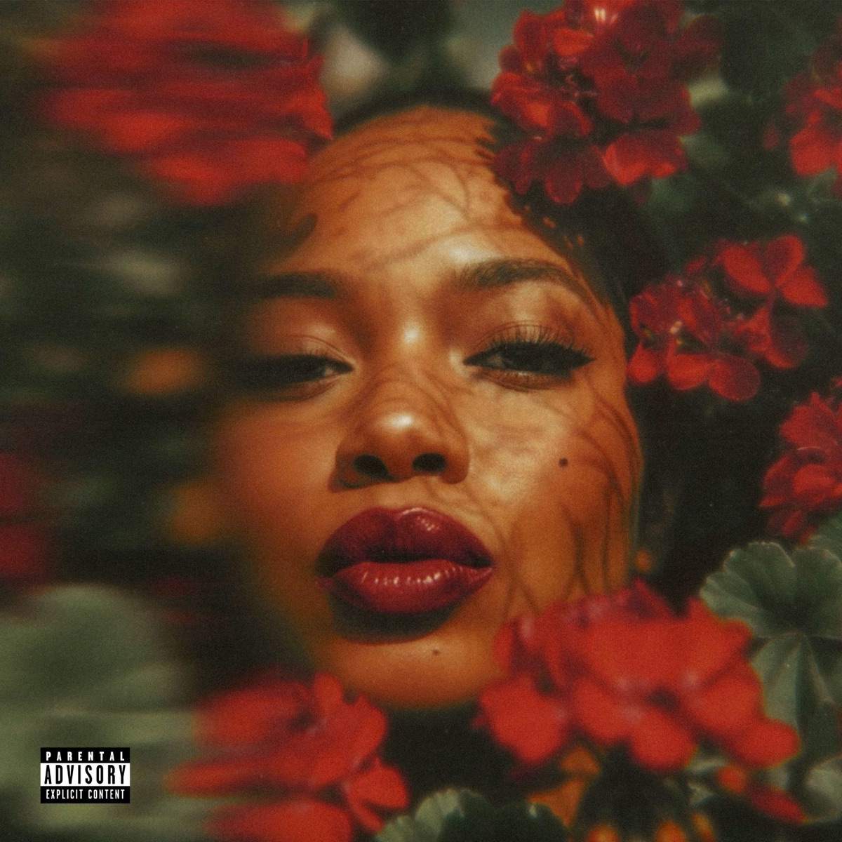 EMI MARIA - Mother Tree (2026) [iTunes Plus AAC M4A]-新房子