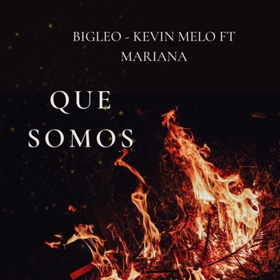 Que somos (feat. Kevin melo & Mariana) - Single