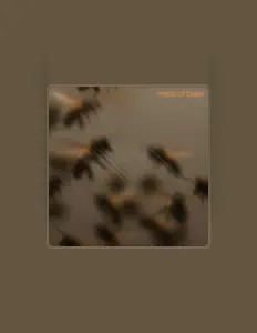 Sloesを聴いたり、ミュージックビデオを鑑賞したり、経歴やツアー日程などを確認したりしましょう！