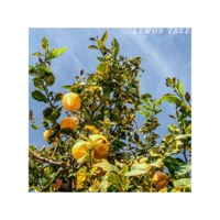 Lemon Tree - Single - Nellie Mar
