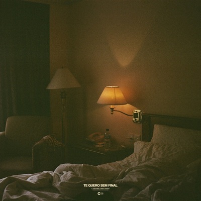 Te quero sem final - Single
