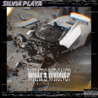WHAT'S WRONG? - Single - SILVIAPLAYA