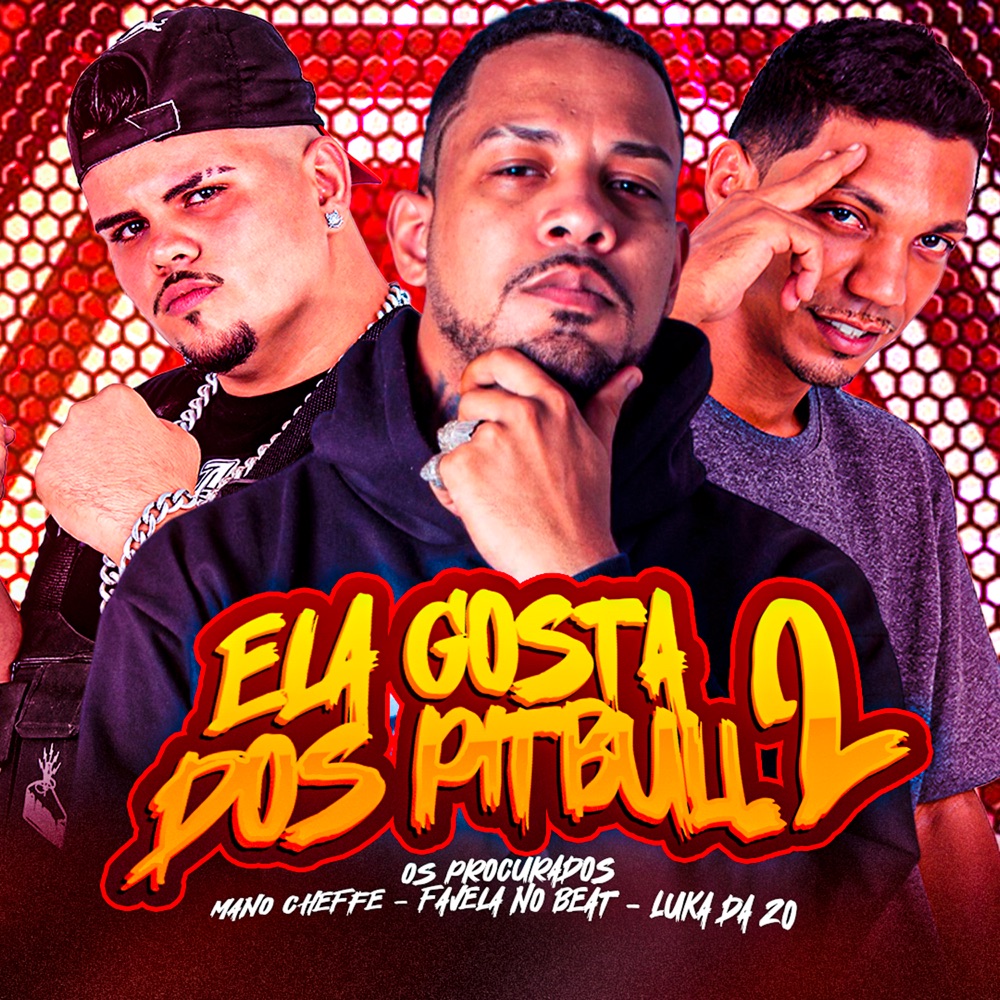 Обложка альбома «Ela Gosta dos Pitbull, Pt. 2 (feat. Luka da Z.O & Favela No Beat) - Single» — Mano Cheffe & Os Procurados