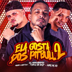 Ela Gosta dos Pitbull, Pt. 2 (feat. Luka da Z.O & Favela No Beat)