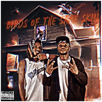 Birds Of The Same Skin (feat. Ki$$a Zwenni & El gringo) - Single