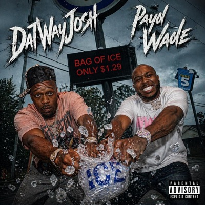Bag of Ice (feat. DatWayJosh) - Single