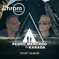#100 Album Mix (DJ Mix) - Pedro Mercado