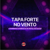 Tapa Forte no Vento (feat. Mc Vuk Vuk) - Single - Mc Pbó