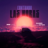 Contando Las Horas - Single - Raiser Suena Nitido & Ese Manuel