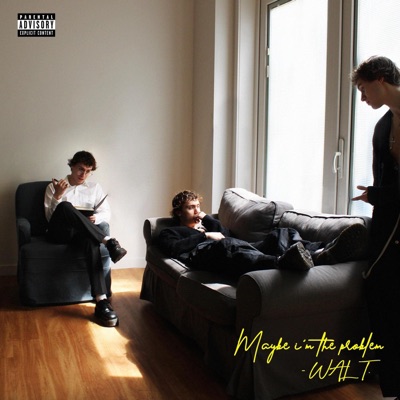 Maybe I'm the Problem