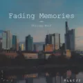Fading Memories