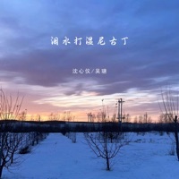 泪水打湿尼古丁 - Single - 吴瑭 & 沈心仪