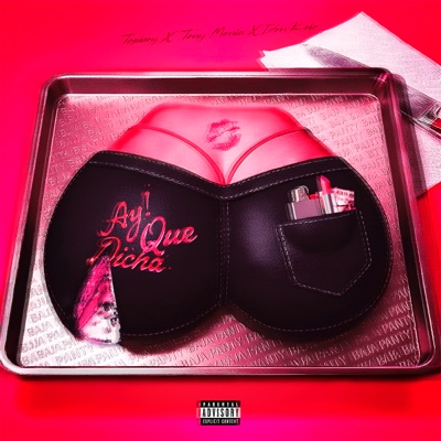 AY! QUE DICHA - Single