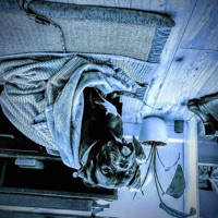 2 Hearts (Remastered) - Single - Ohmygodd