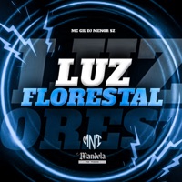 Luz Florestal - Single - dj menor sz & MC Gil