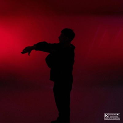 Siempre Altibajos - EP