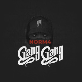 Gang Gang №1 NORM4