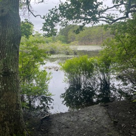 ...but you can't force him to drink Decks