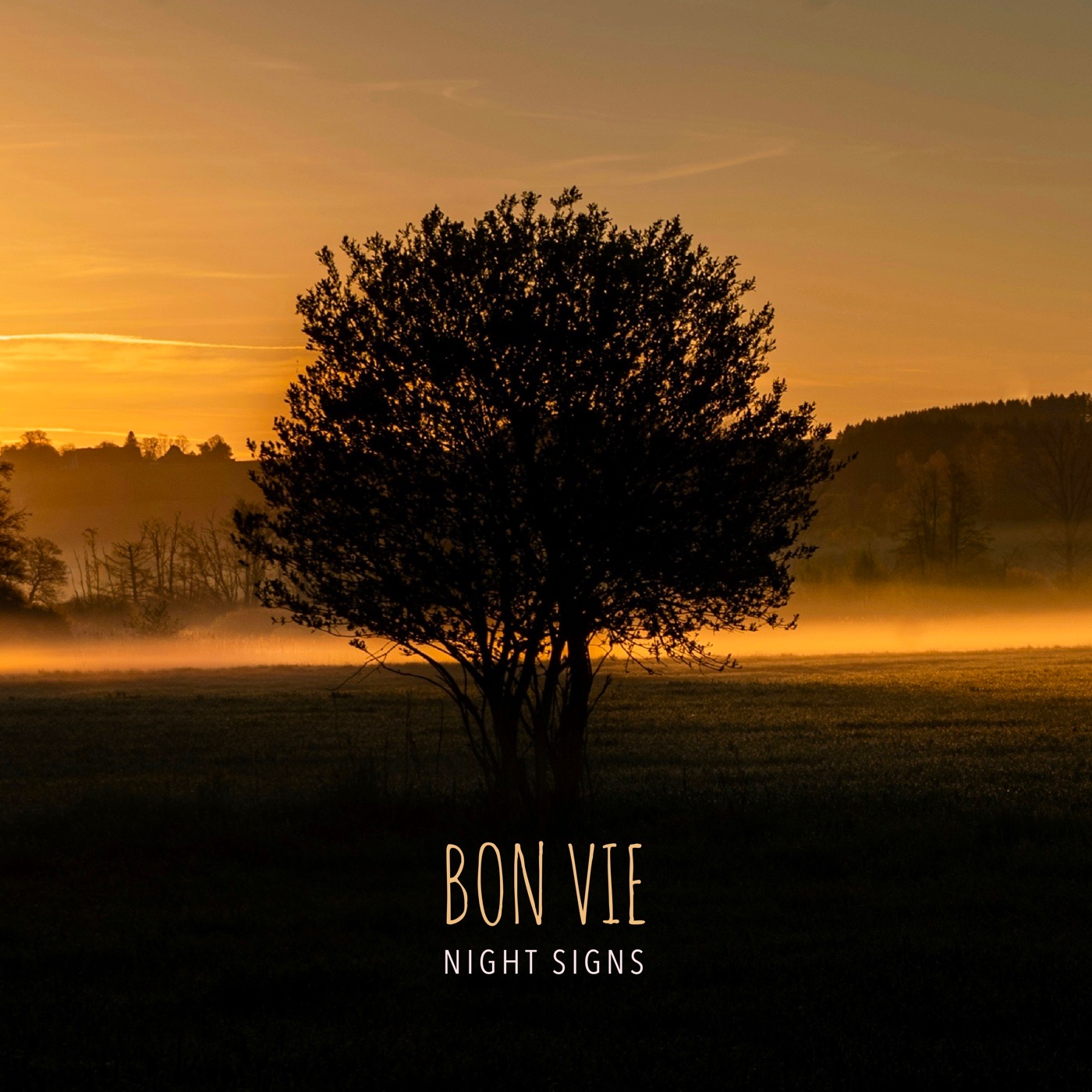 Night Signs - Single