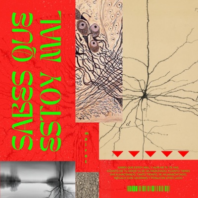 sabes que estoy mal - Single