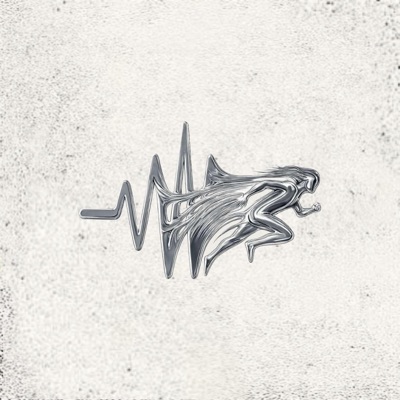 RUN (feat. KLB & Raf Dkbloody) - Single